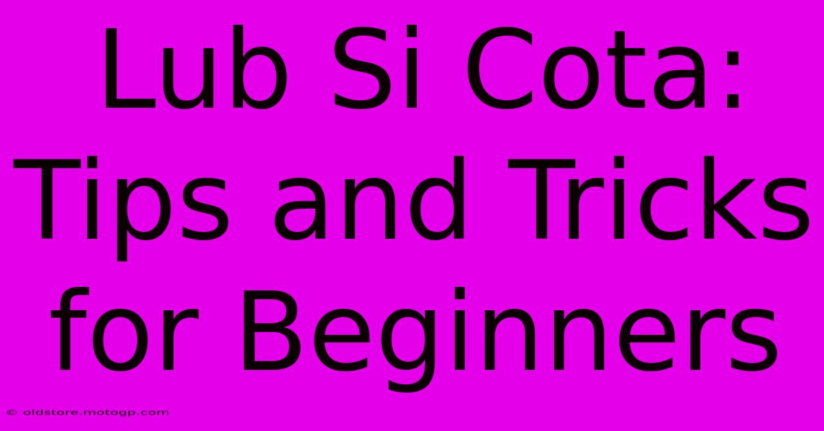 Lub Si Cota: Tips And Tricks For Beginners