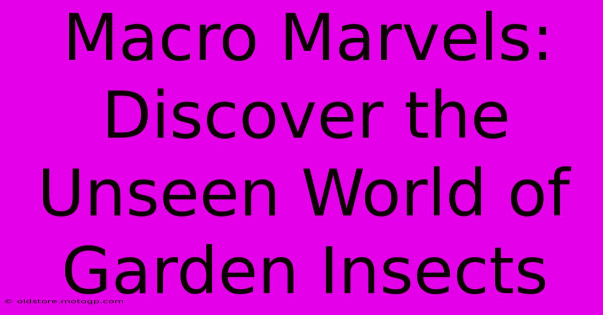 Macro Marvels: Discover The Unseen World Of Garden Insects