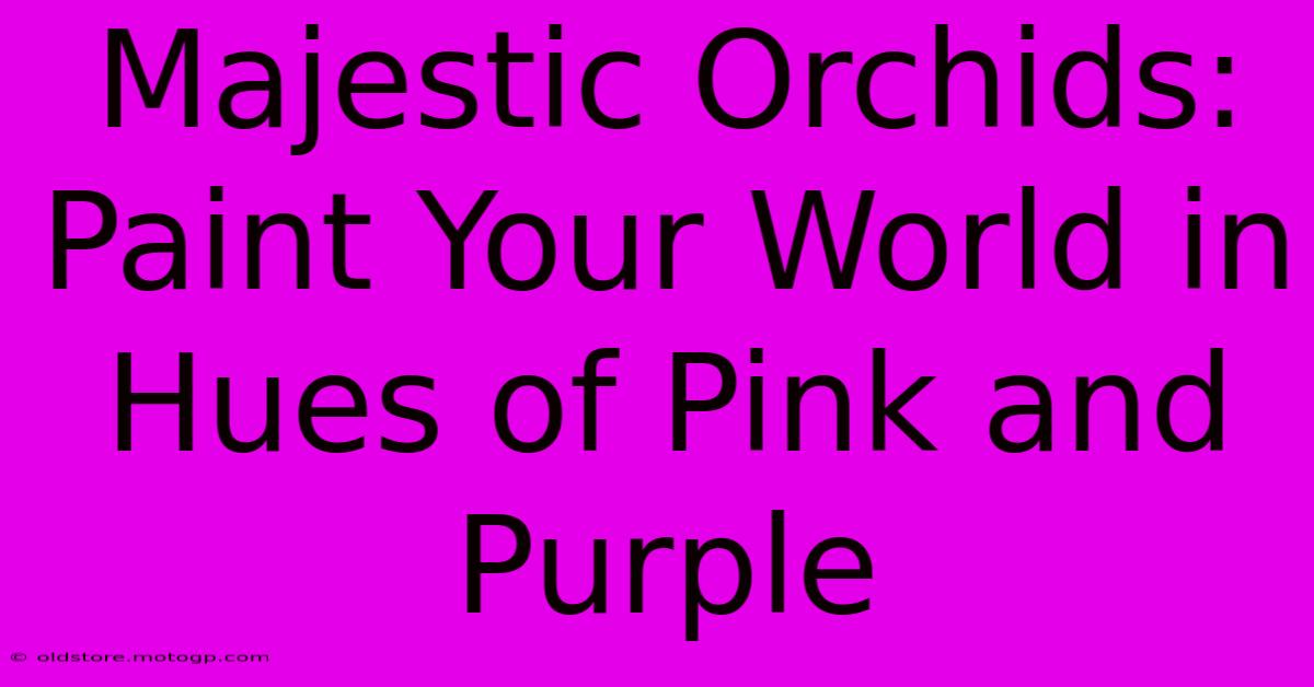 Majestic Orchids: Paint Your World In Hues Of Pink And Purple