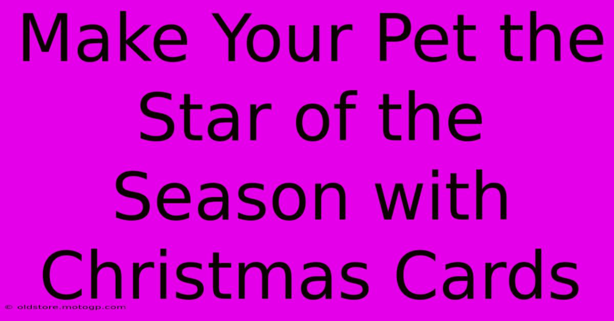 Make Your Pet The Star Of The Season With Christmas Cards