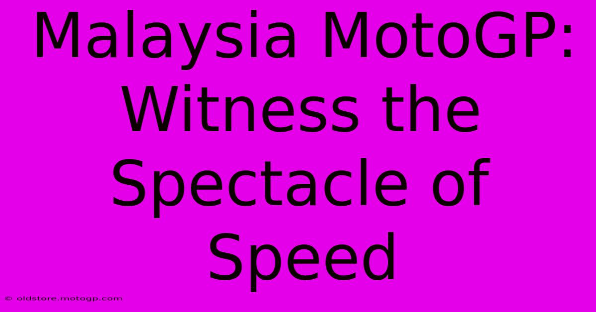 Malaysia MotoGP:  Witness The Spectacle Of Speed