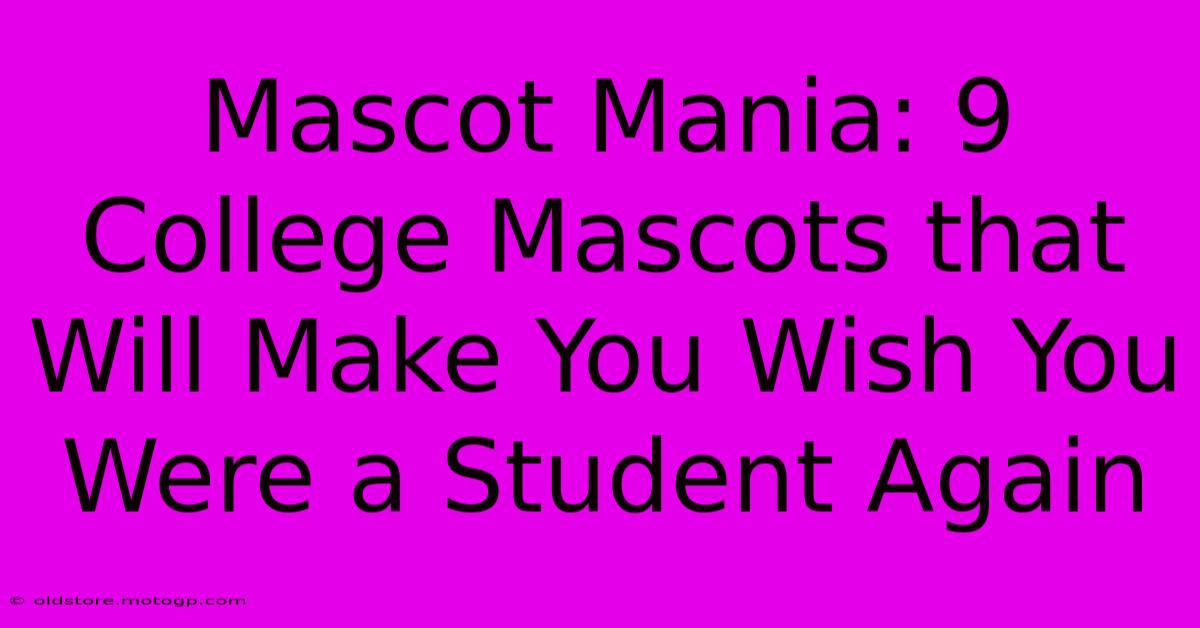 Mascot Mania: 9 College Mascots That Will Make You Wish You Were A Student Again