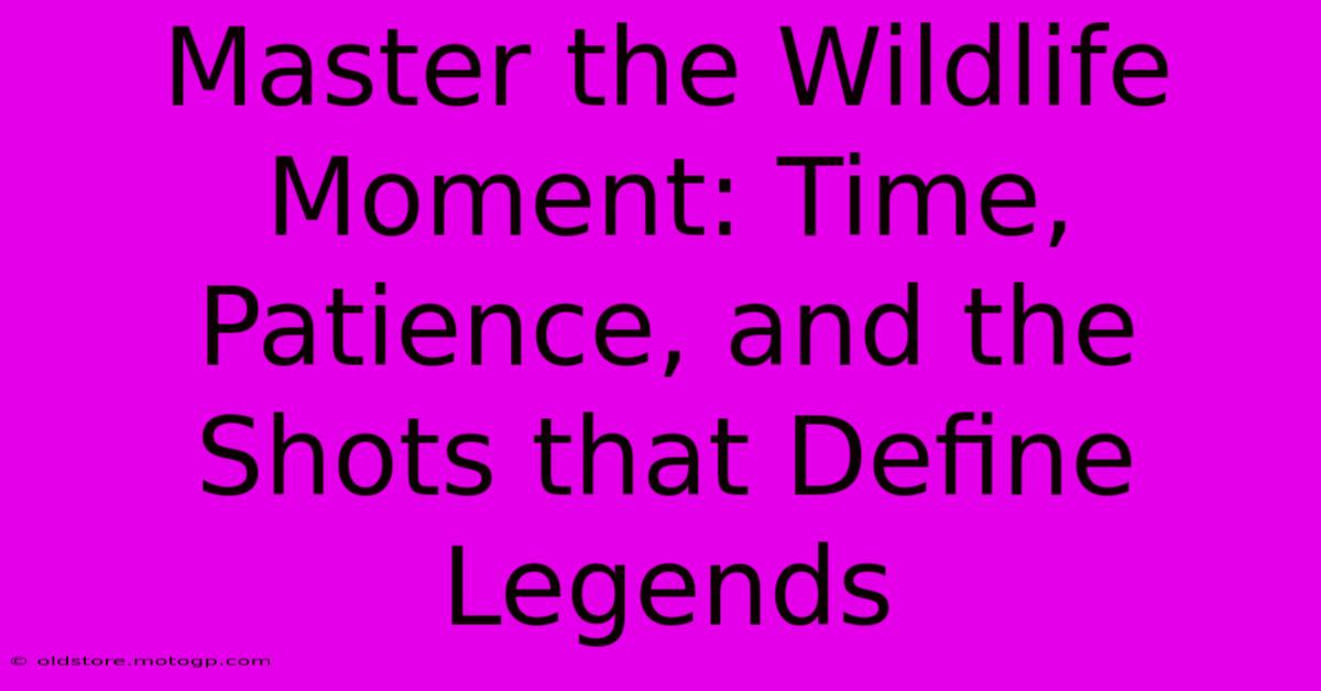 Master The Wildlife Moment: Time, Patience, And The Shots That Define Legends