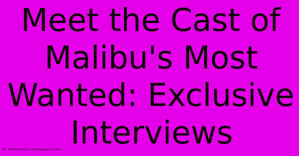 Meet The Cast Of Malibu's Most Wanted: Exclusive Interviews