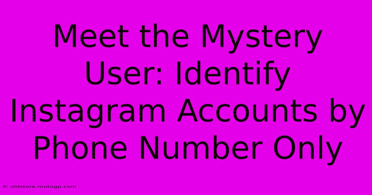 Meet The Mystery User: Identify Instagram Accounts By Phone Number Only