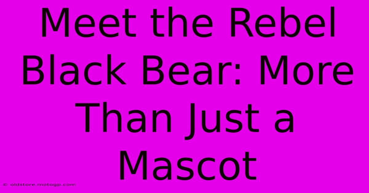 Meet The Rebel Black Bear: More Than Just A Mascot