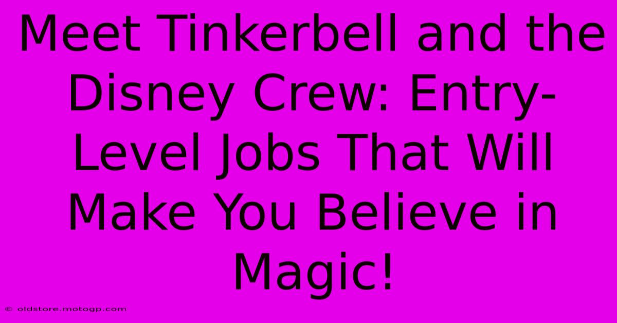 Meet Tinkerbell And The Disney Crew: Entry-Level Jobs That Will Make You Believe In Magic!