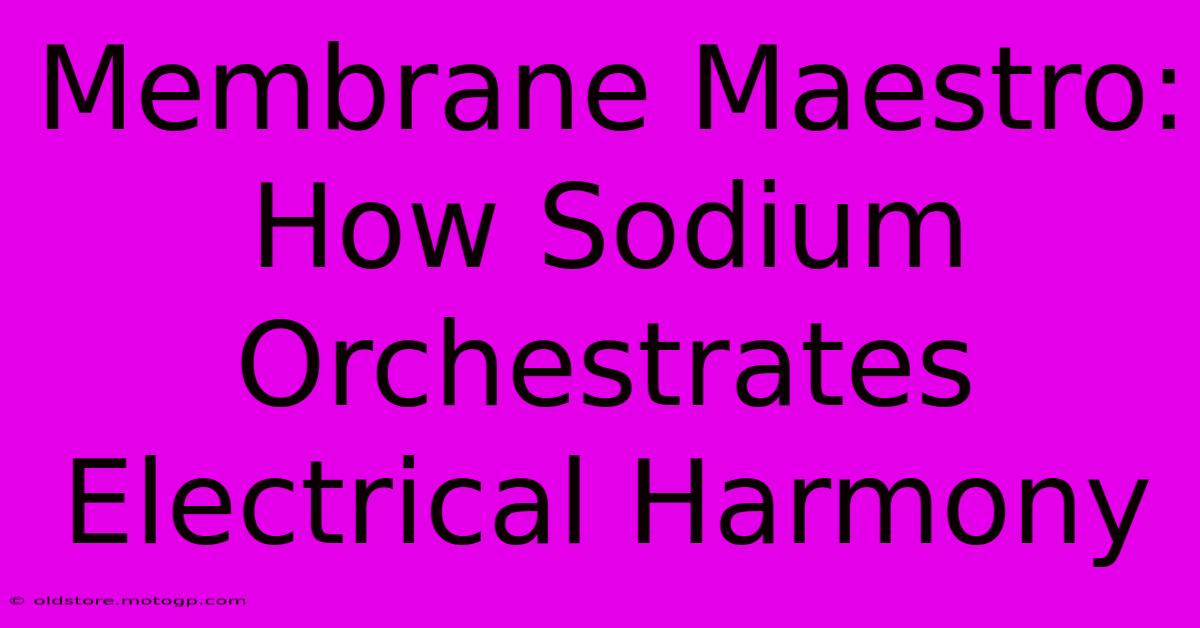 Membrane Maestro: How Sodium Orchestrates Electrical Harmony