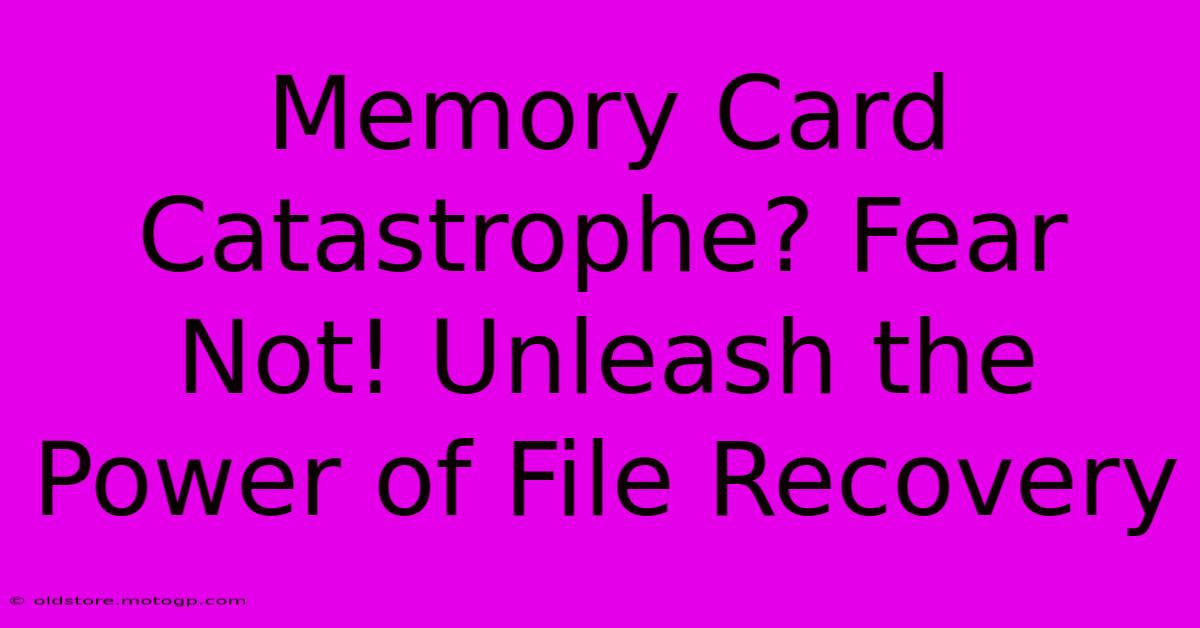 Memory Card Catastrophe? Fear Not! Unleash The Power Of File Recovery