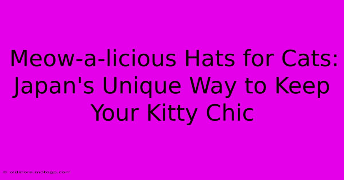 Meow-a-licious Hats For Cats: Japan's Unique Way To Keep Your Kitty Chic