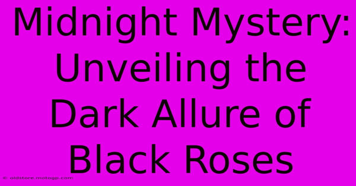 Midnight Mystery: Unveiling The Dark Allure Of Black Roses