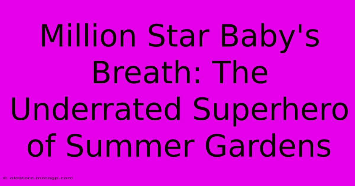 Million Star Baby's Breath: The Underrated Superhero Of Summer Gardens