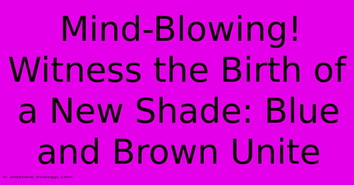 Mind-Blowing! Witness The Birth Of A New Shade: Blue And Brown Unite