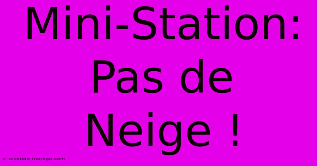 Mini-Station: Pas De Neige !