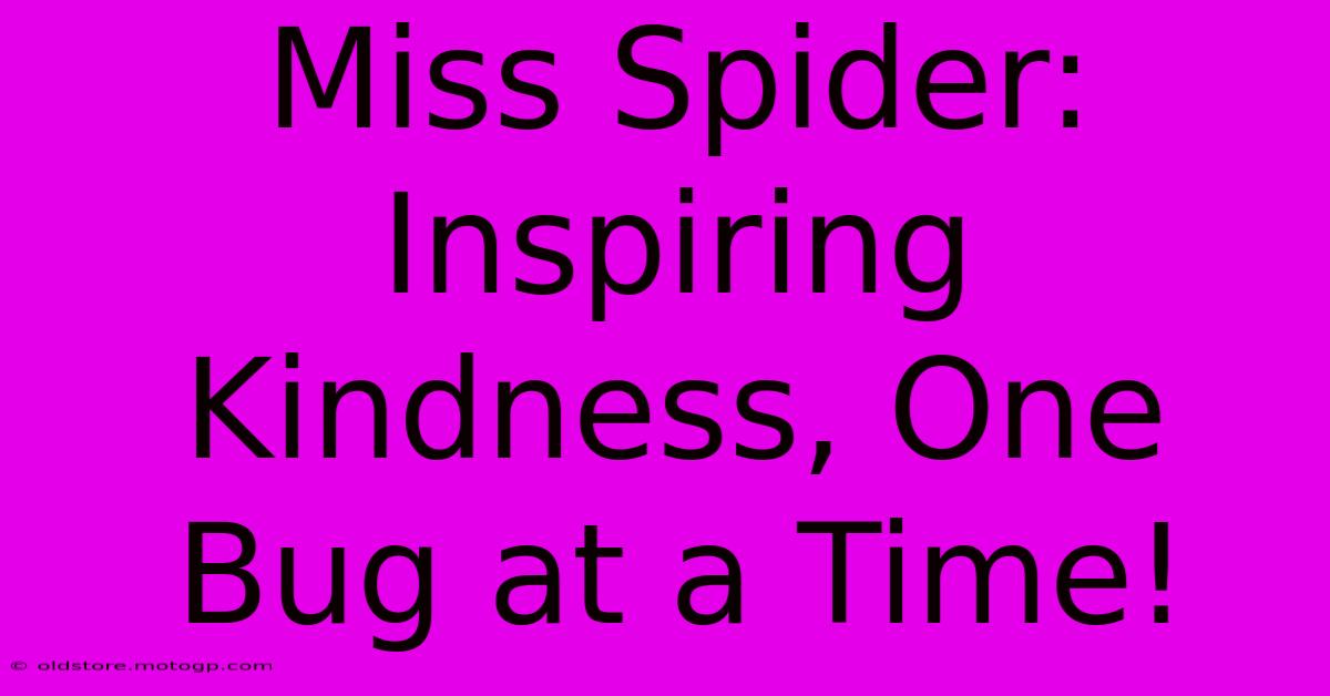 Miss Spider:  Inspiring Kindness, One Bug At A Time!