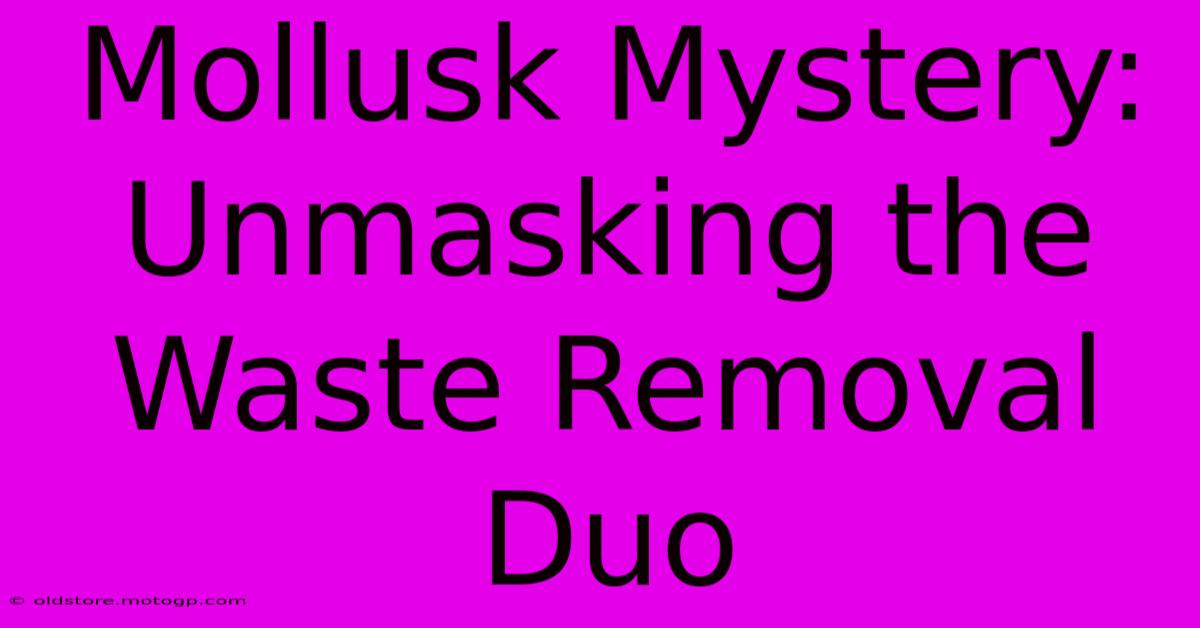 Mollusk Mystery: Unmasking The Waste Removal Duo