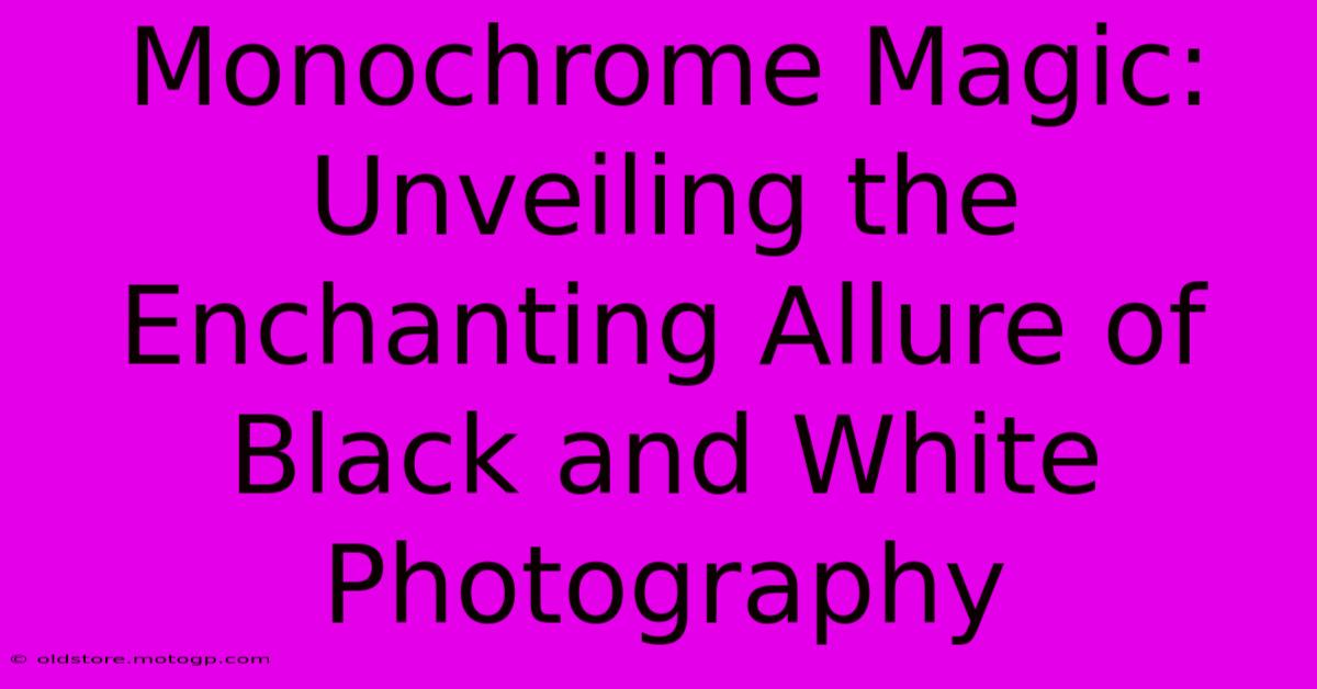 Monochrome Magic: Unveiling The Enchanting Allure Of Black And White Photography