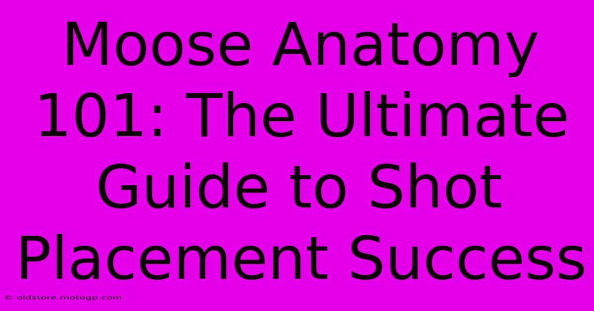 Moose Anatomy 101: The Ultimate Guide To Shot Placement Success