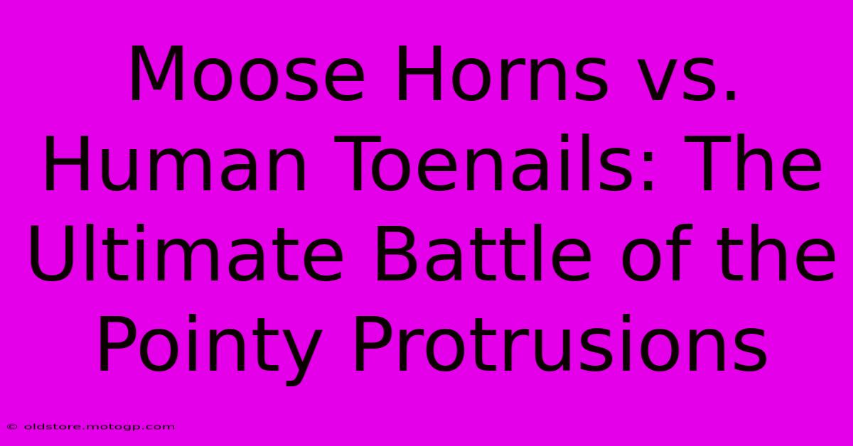 Moose Horns Vs. Human Toenails: The Ultimate Battle Of The Pointy Protrusions