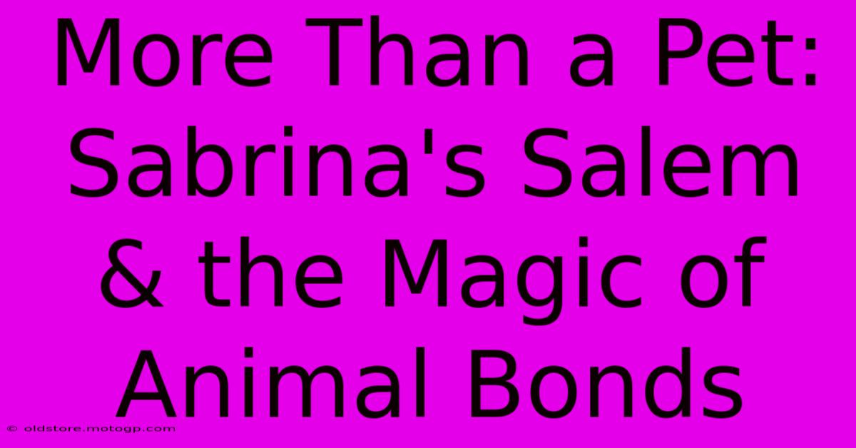 More Than A Pet:  Sabrina's Salem & The Magic Of Animal Bonds