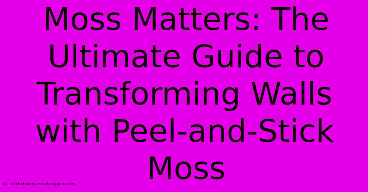 Moss Matters: The Ultimate Guide To Transforming Walls With Peel-and-Stick Moss