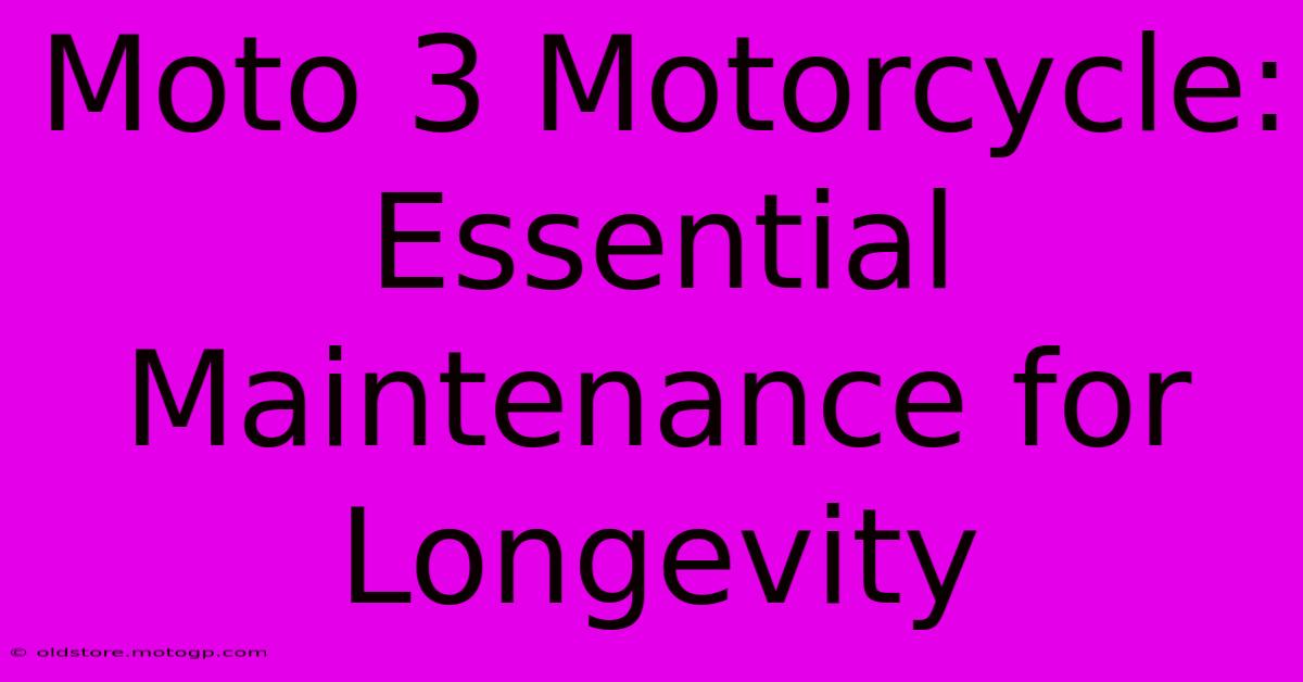 Moto 3 Motorcycle:  Essential Maintenance For Longevity