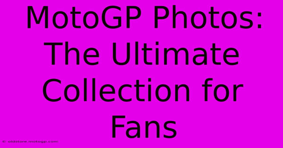 MotoGP Photos: The Ultimate Collection For Fans