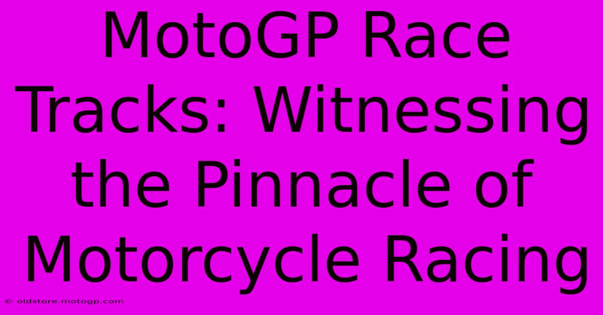 MotoGP Race Tracks: Witnessing The Pinnacle Of Motorcycle Racing