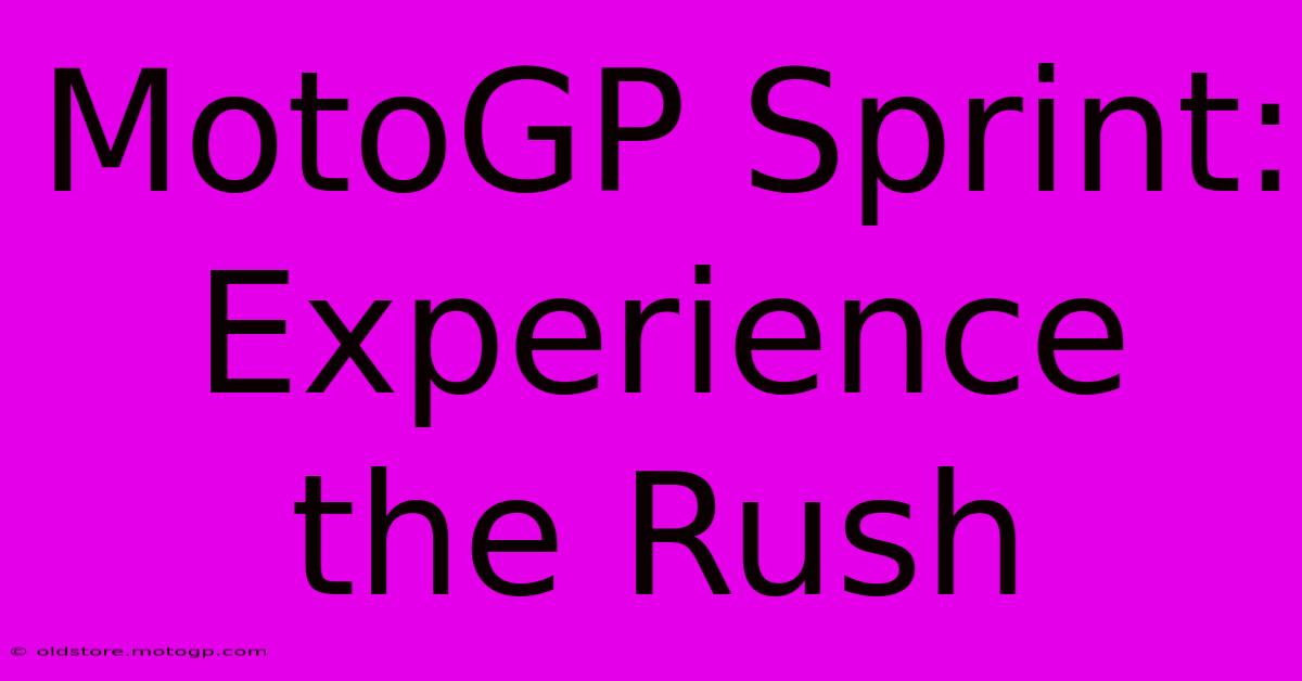 MotoGP Sprint: Experience The Rush