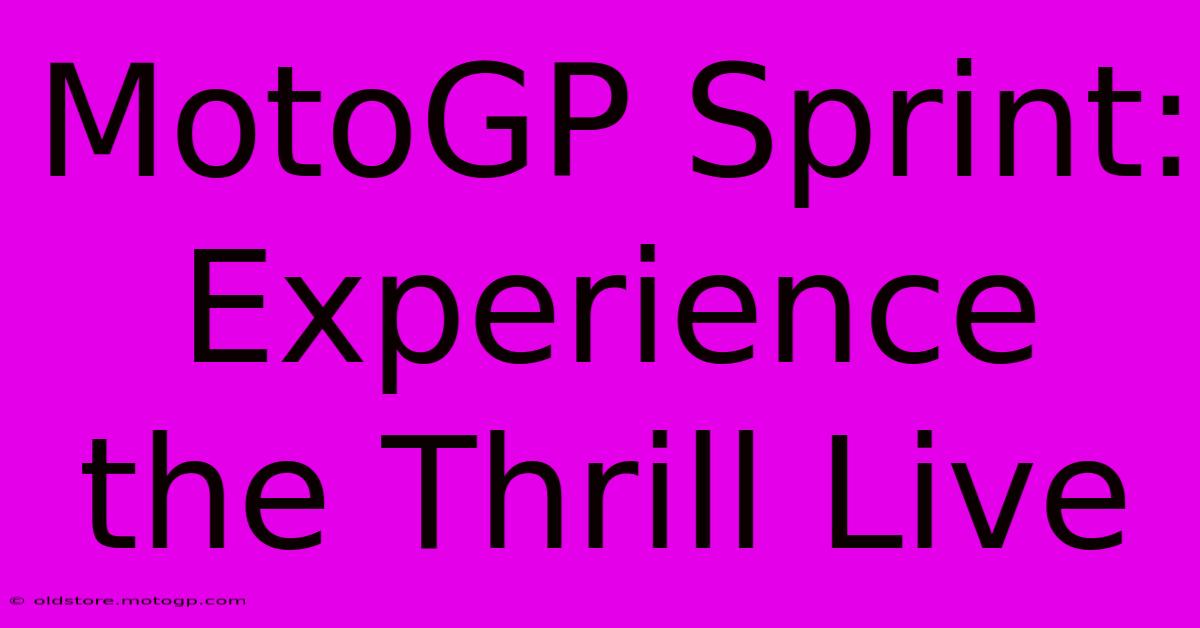 MotoGP Sprint:  Experience The Thrill Live