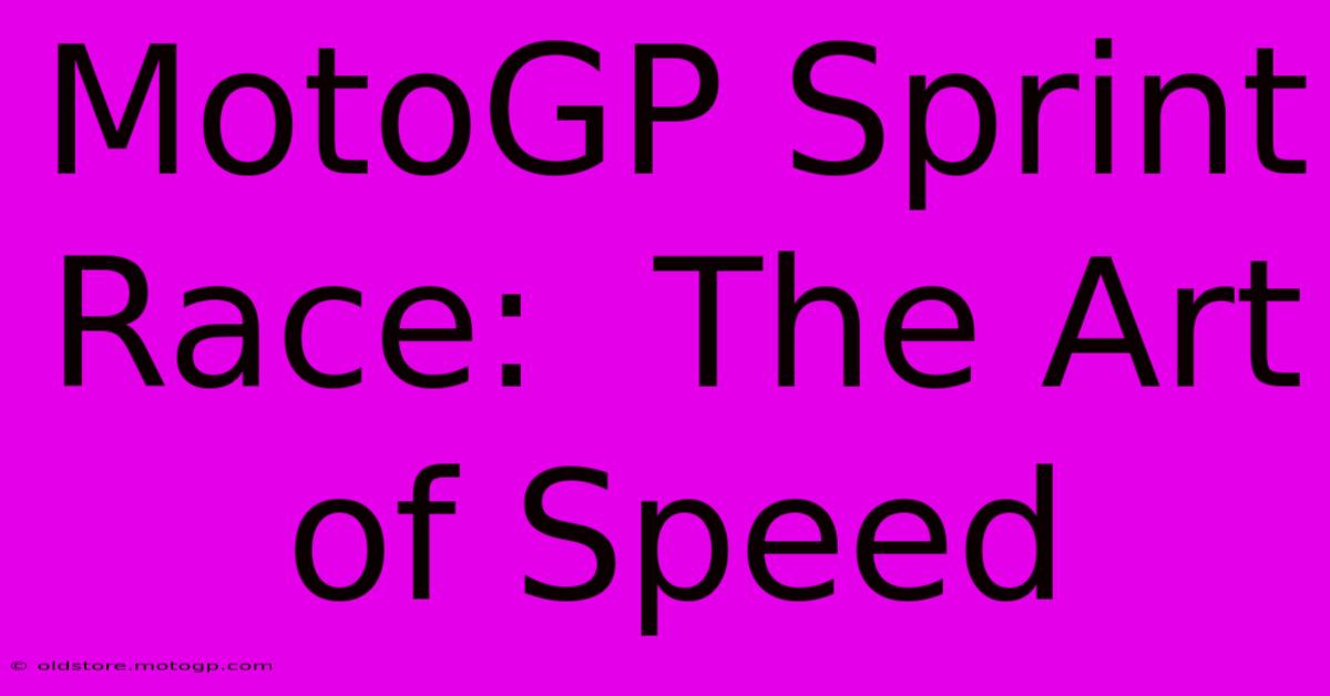 MotoGP Sprint Race:  The Art Of Speed