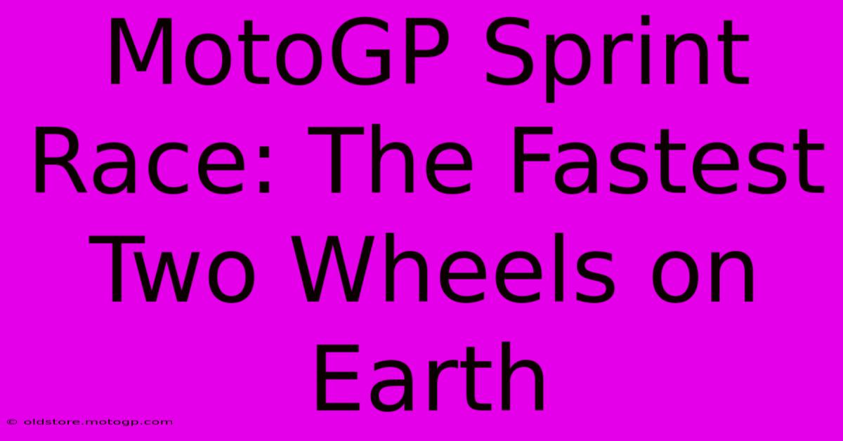 MotoGP Sprint Race: The Fastest Two Wheels On Earth