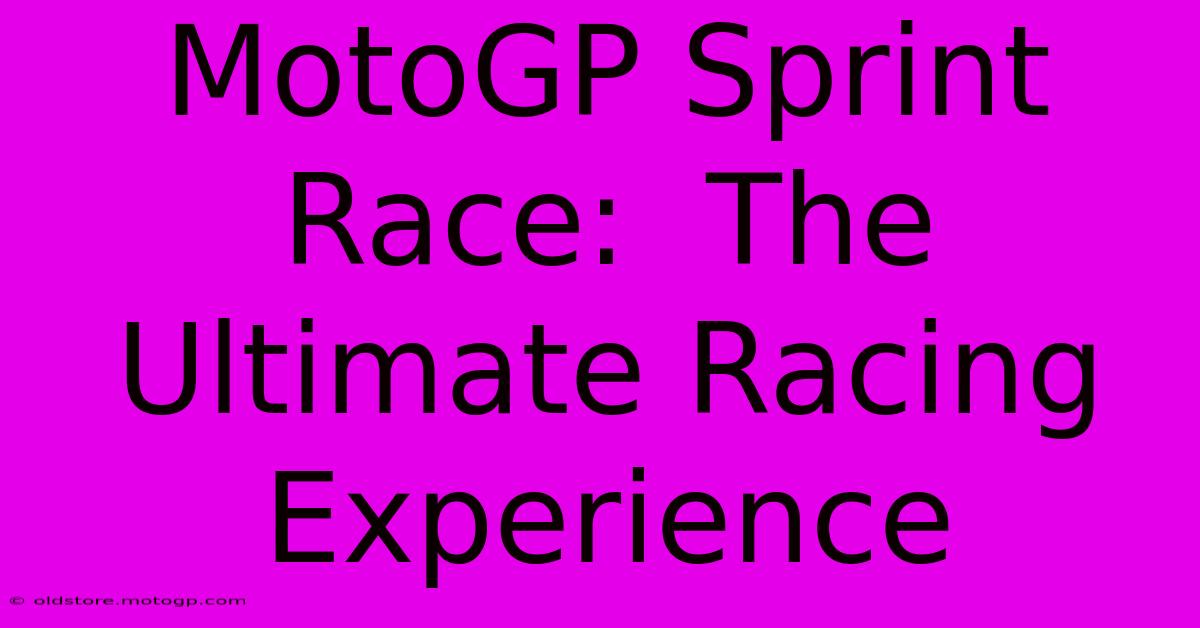 MotoGP Sprint Race:  The Ultimate Racing Experience