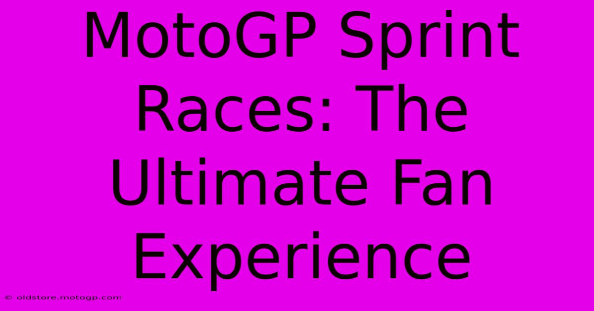 MotoGP Sprint Races: The Ultimate Fan Experience