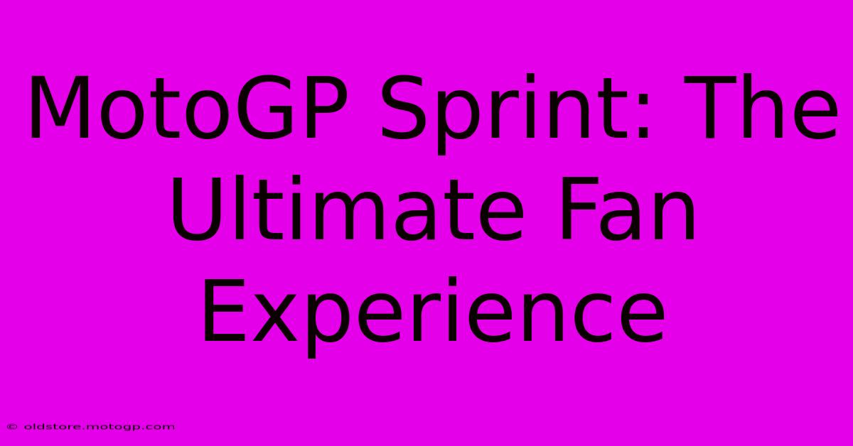 MotoGP Sprint: The Ultimate Fan Experience