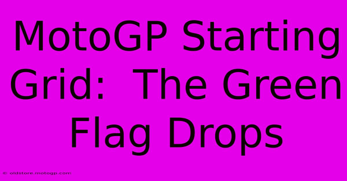 MotoGP Starting Grid:  The Green Flag Drops