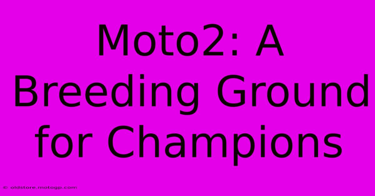 Moto2: A Breeding Ground For Champions