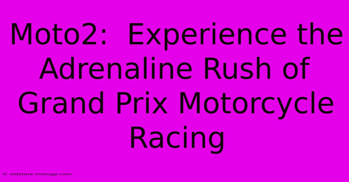 Moto2:  Experience The Adrenaline Rush Of Grand Prix Motorcycle Racing