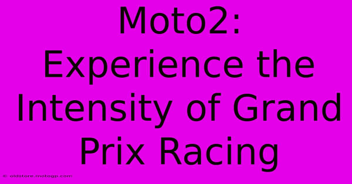 Moto2: Experience The Intensity Of Grand Prix Racing