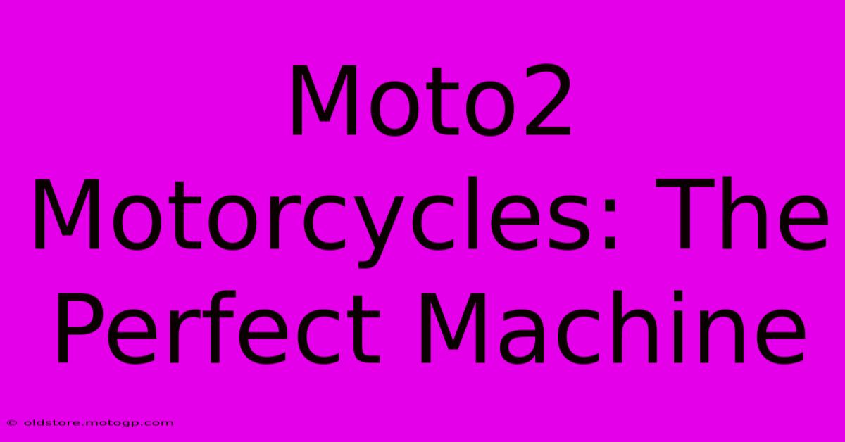 Moto2 Motorcycles: The Perfect Machine