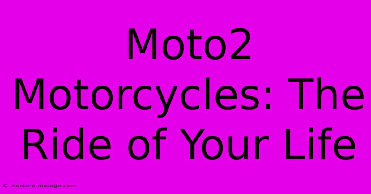 Moto2 Motorcycles: The Ride Of Your Life