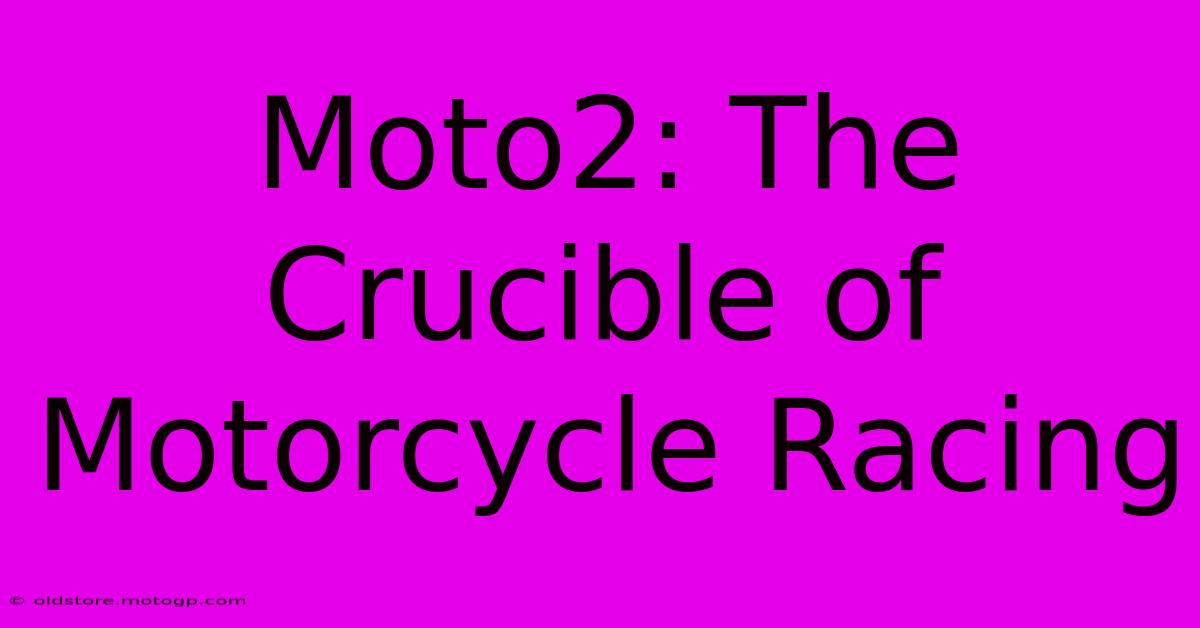 Moto2: The Crucible Of Motorcycle Racing