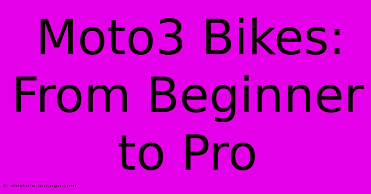 Moto3 Bikes: From Beginner To Pro