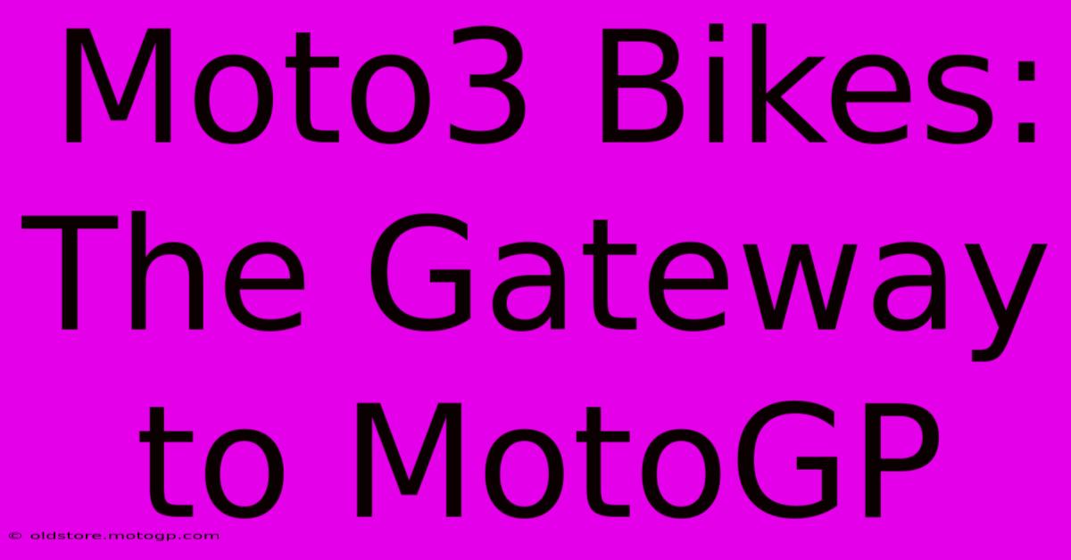 Moto3 Bikes: The Gateway To MotoGP