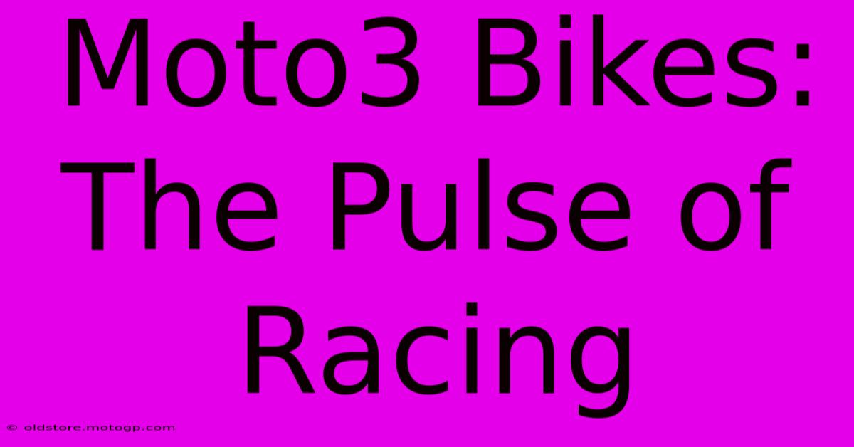 Moto3 Bikes:  The Pulse Of Racing