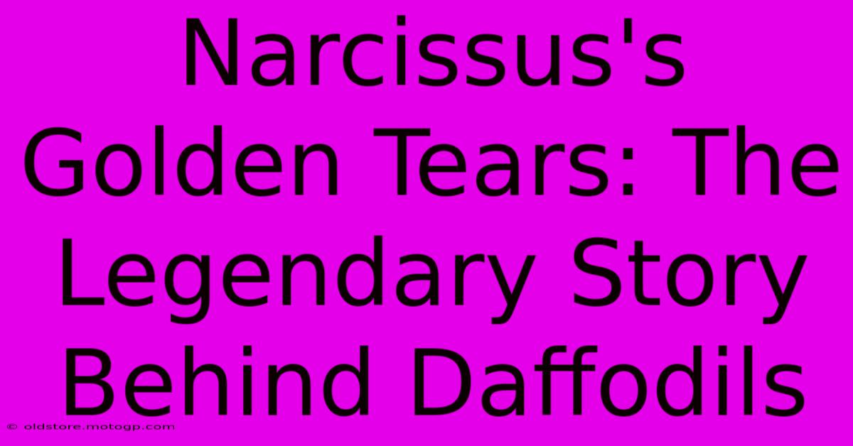 Narcissus's Golden Tears: The Legendary Story Behind Daffodils