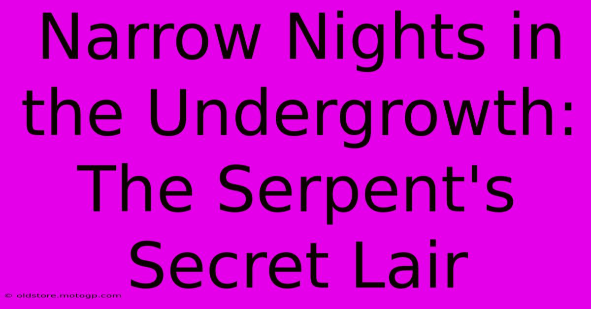 Narrow Nights In The Undergrowth: The Serpent's Secret Lair