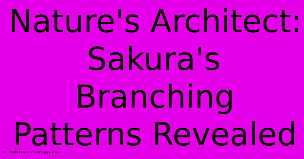 Nature's Architect: Sakura's Branching Patterns Revealed