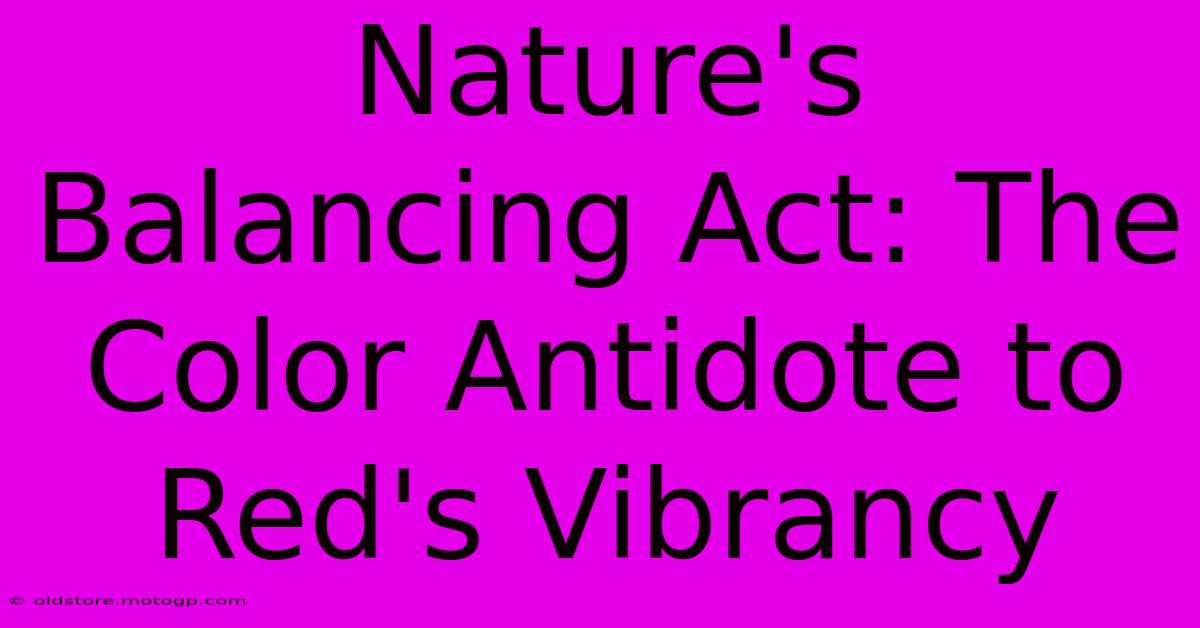 Nature's Balancing Act: The Color Antidote To Red's Vibrancy