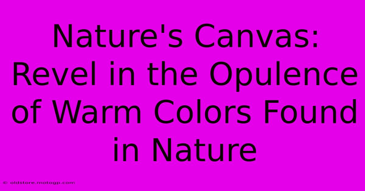 Nature's Canvas: Revel In The Opulence Of Warm Colors Found In Nature